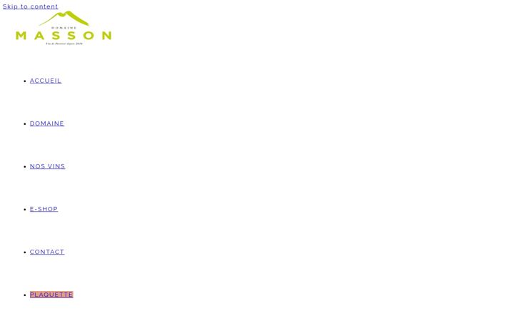 Screenshot of domainemasson.fr