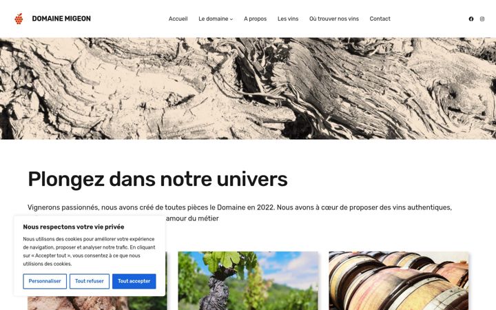 Screenshot of domainemigeon.com