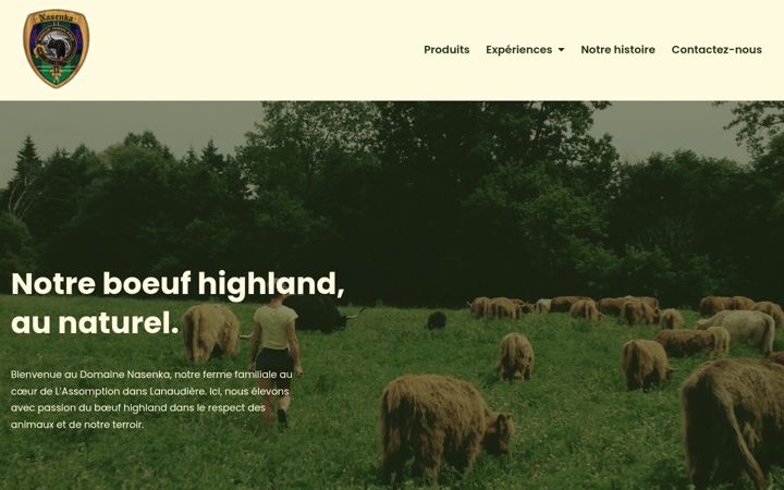 Screenshot of domainenasenka.com