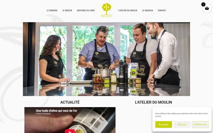 Snímek obrazovky domainerigaud.fr