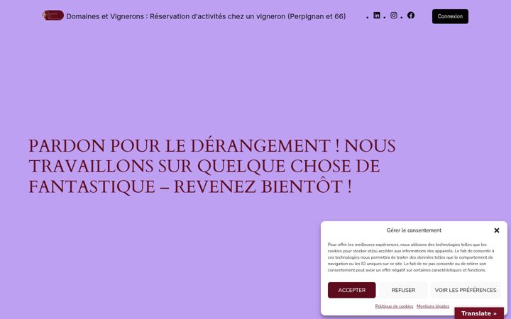 Snímek obrazovky domainesetvignerons.fr