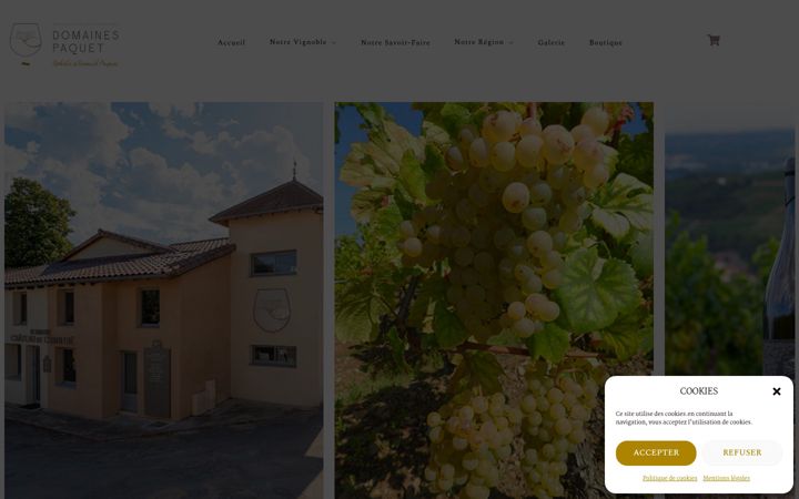Screenshot of domainespaquet.com