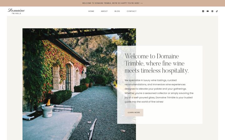 Screenshot of domainetrimble.com