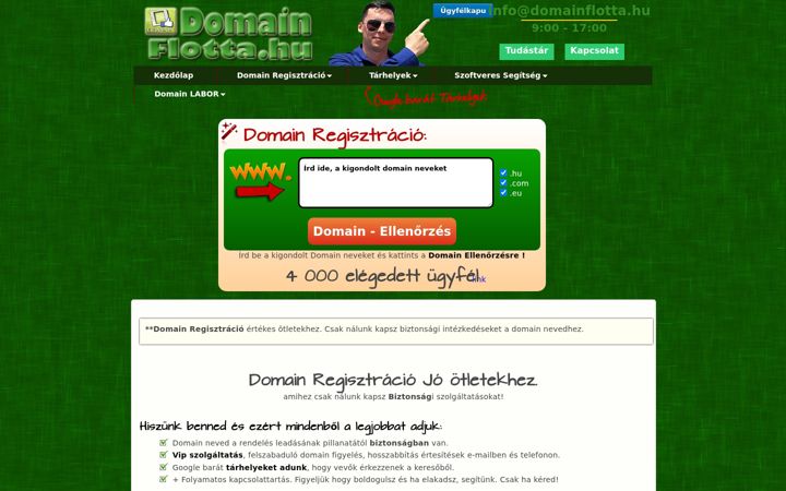 Screenshot of domainflotta.hu