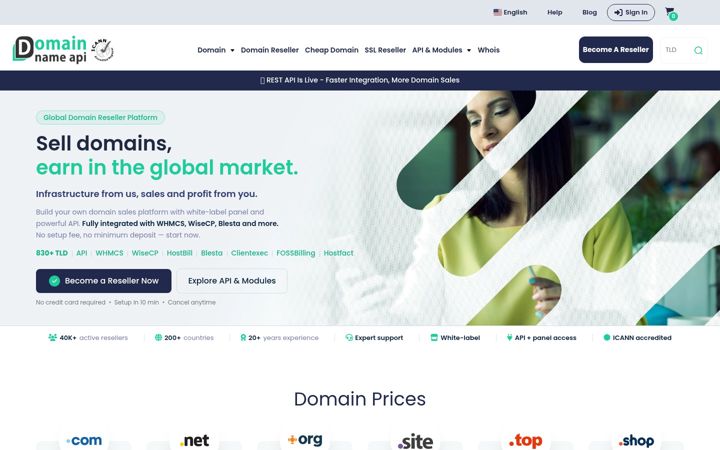 Screenshot of domainnameapi.com
