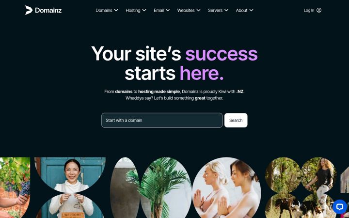 Snímek obrazovky domainz.net.nz