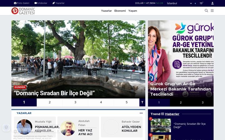 Screenshot of domanicgazetesi.com