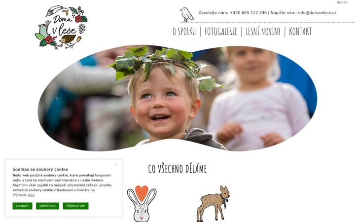 Screenshot of domavlese.cz