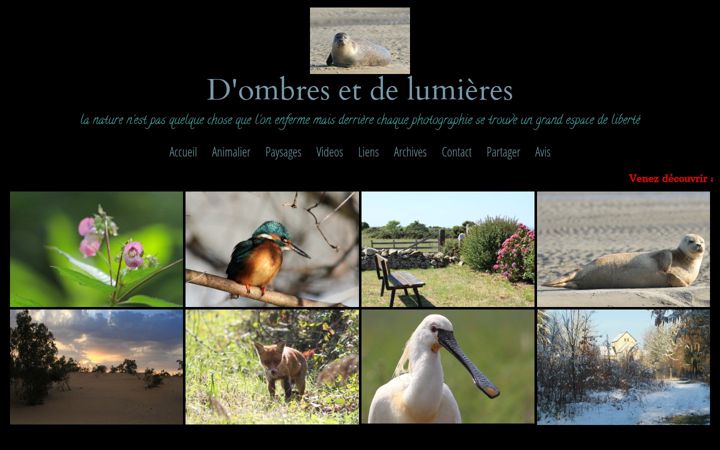 Screenshot of dombresetdelumieres.com