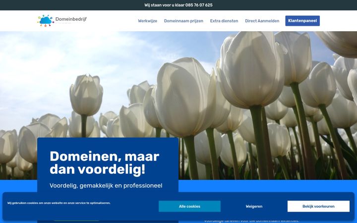 Captura de pantalla de domeinbedrijf.nl