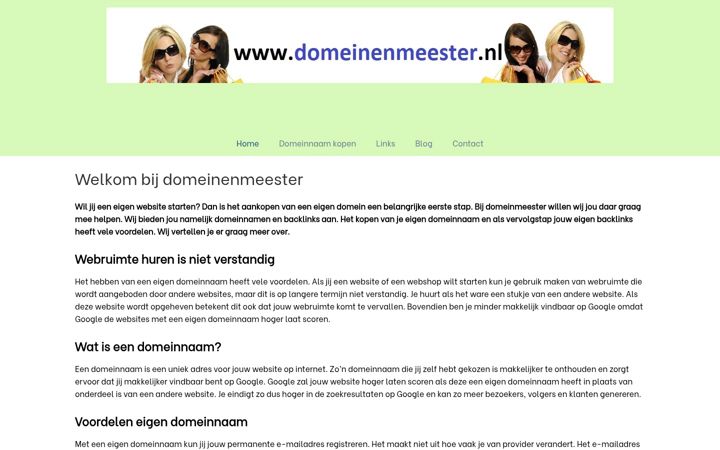 Screenshot of domeinenmeester.nl