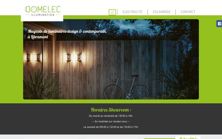 Screenshot of domelec.be