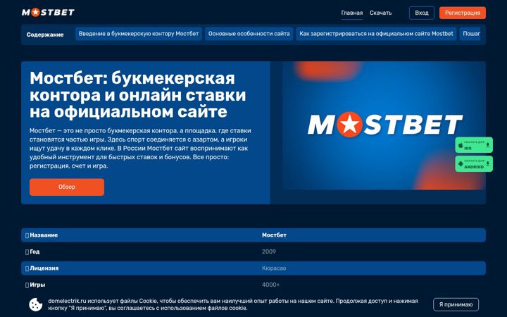 Screenshot of domelectrik.ru