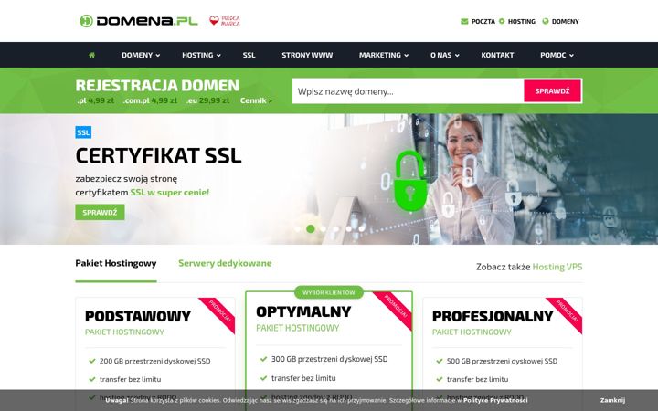 Ekrano kopija domena.pl