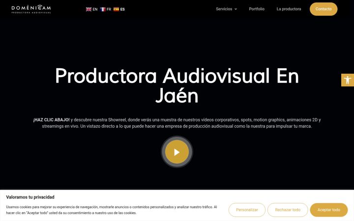 Screenshot of domenicam.com