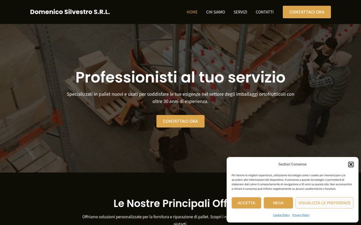 Screenshot of domenicosilvestro.com