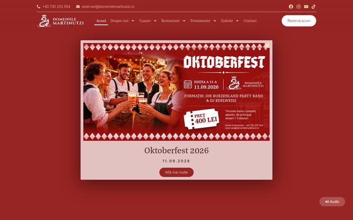 Screenshot of domeniilemartinutzi.ro