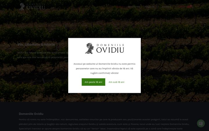 Screenshot of domeniileovidiu.ro