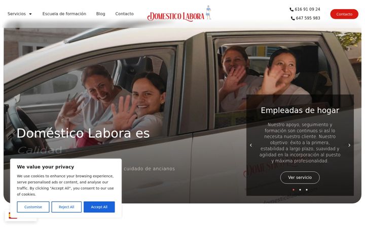 Screenshot of domesticolabora.com