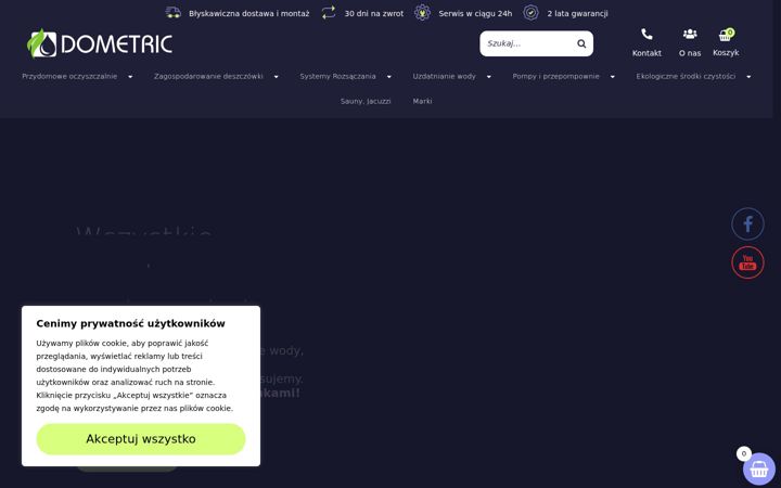 Screenshot ta' dometric.pl