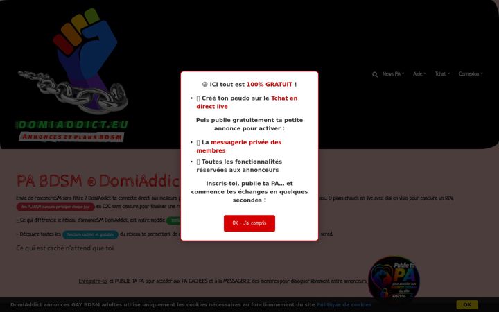 Screenshot of domiaddict.fr