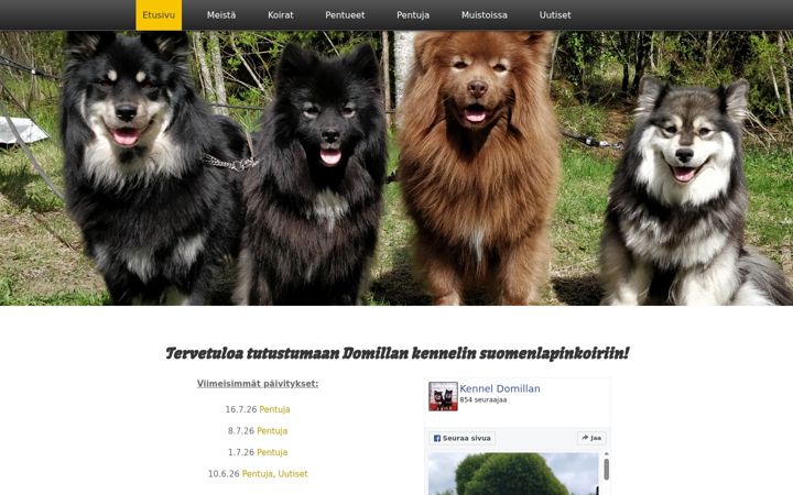 Screenshot of domillan.com