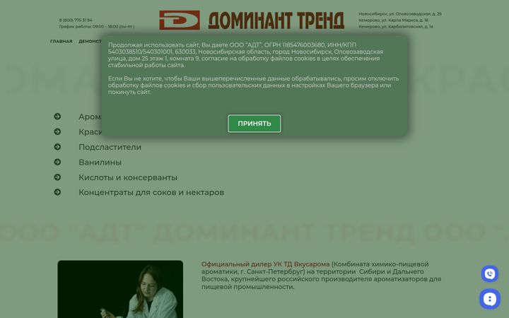 Zrzut ekranu dominant-trend.ru