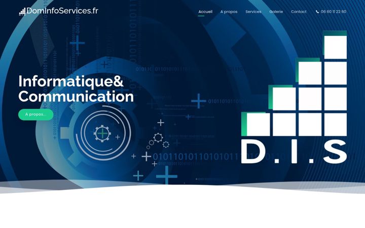 Screenshot of dominfoservices.fr