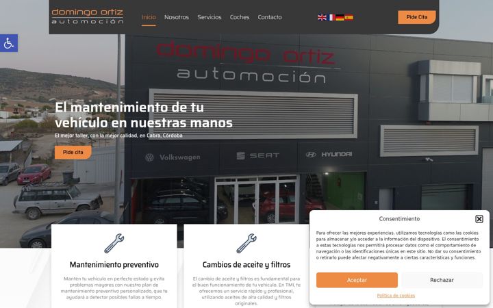 Screenshot of domingoortizautomoviles.es