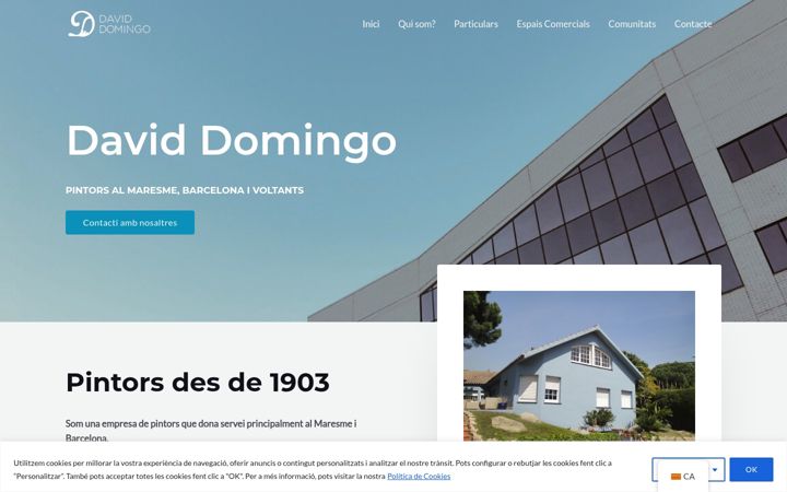 Screenshot of domingopintor.com