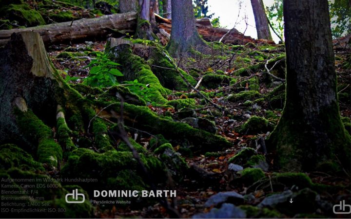 Screenshot di dominic-barth.de