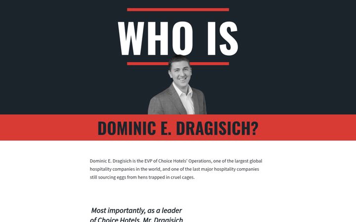 Screenshot of dominicdragisich.com