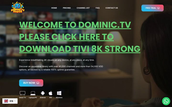 Skärmbild av dominictv.ca