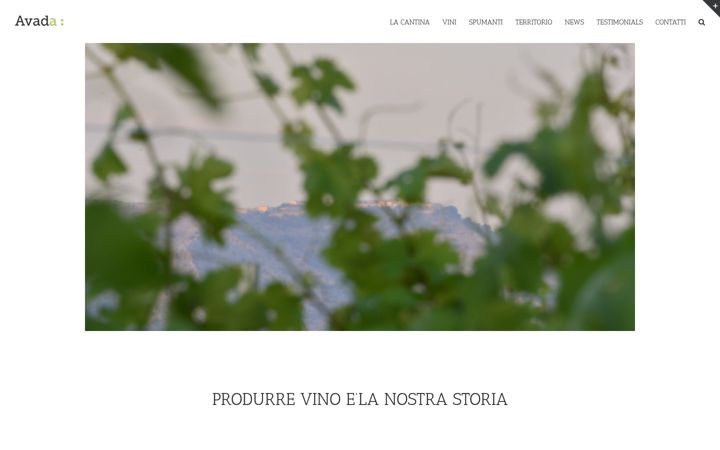 Screenshot of dominidauni.com