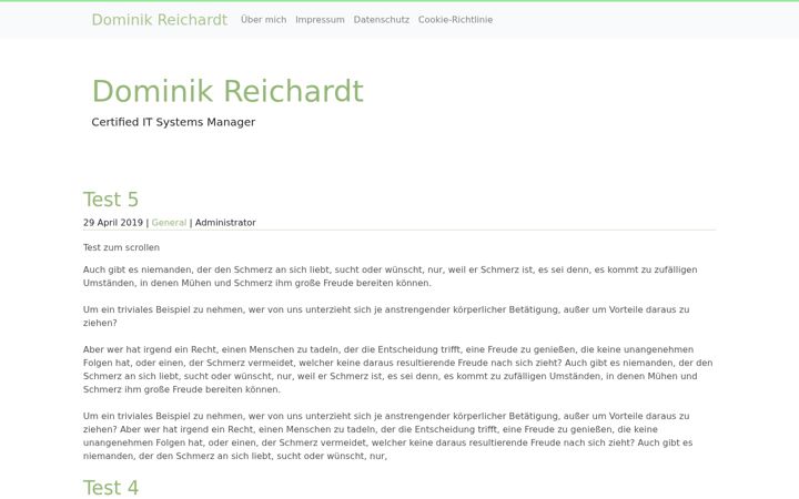 Screenshot di dominik-reichardt.de