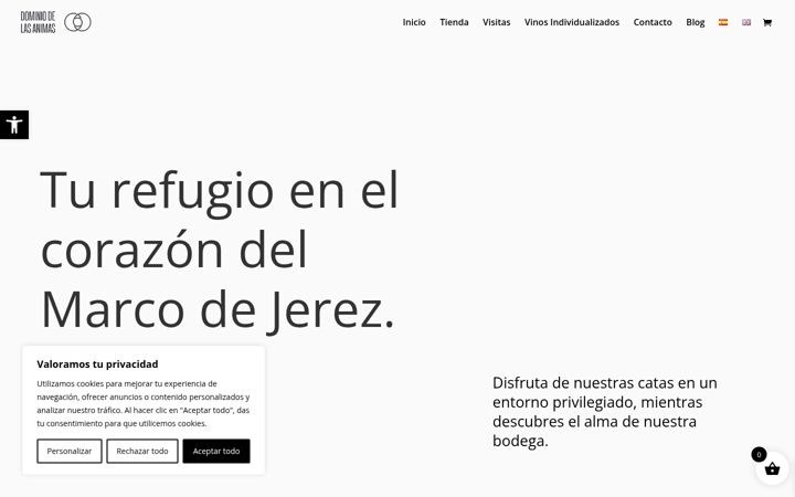 Screenshot of dominiodelasanimas.com