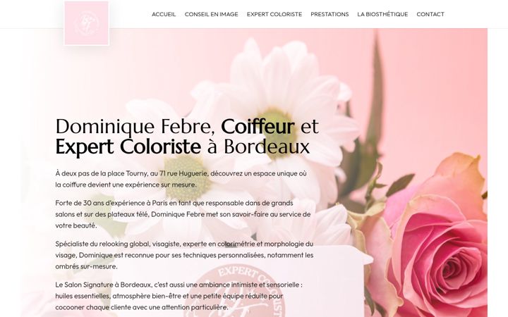 Screenshot of dominique-febre-bordeaux.com