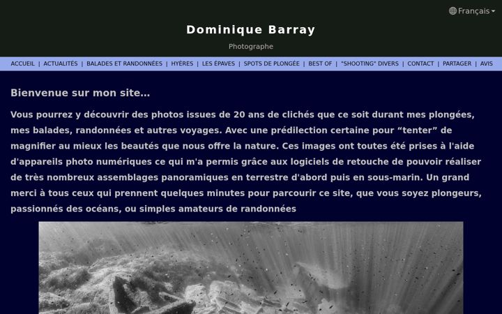 Screenshot of dominiquebarray.com