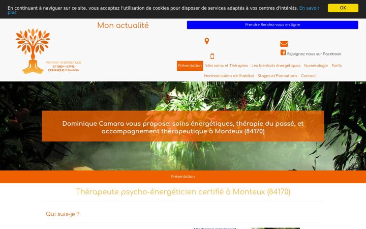 Screenshot of dominiquecamara-therapeute-84.fr