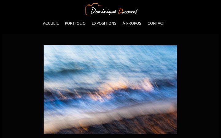 Screenshot of dominiqueducouret.com