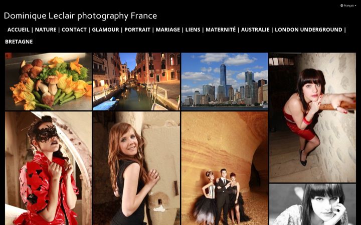 Screenshot of dominiqueleclairphotography.com