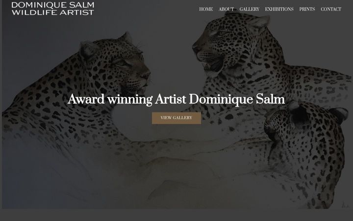 Screenshot of dominiquesalm.co.uk
