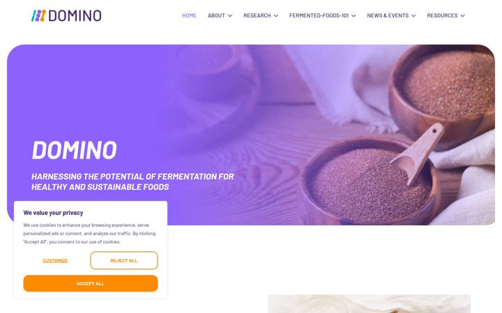 Skærmbillede af domino-euproject.eu