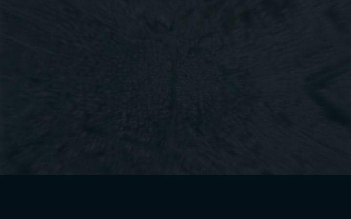 dominosexperience.com