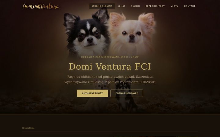 Screenshot von domiventura.pl