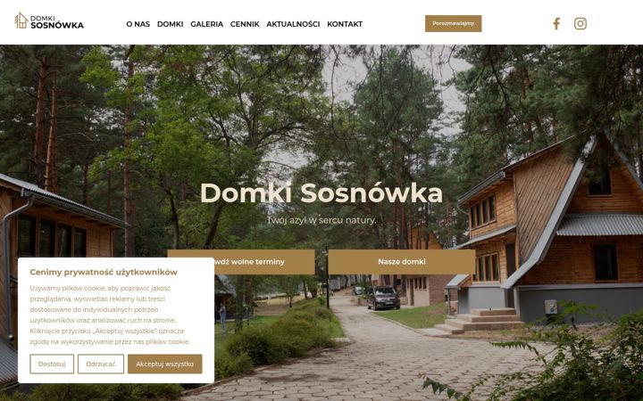 Posnetek zaslona domkisosnowka.pl