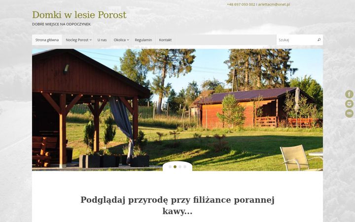 Screenshot di domkiwlesieporost.pl