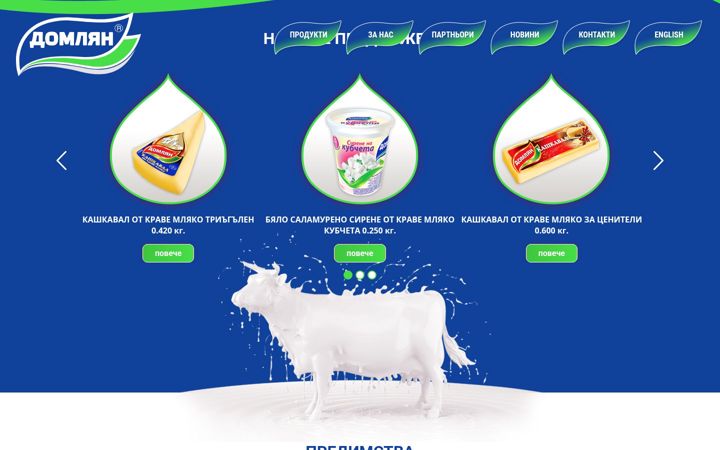 Screenshot of domlian.com