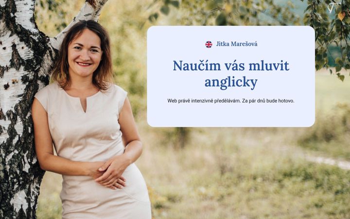 Screenshot di domluvimseanglicky.cz