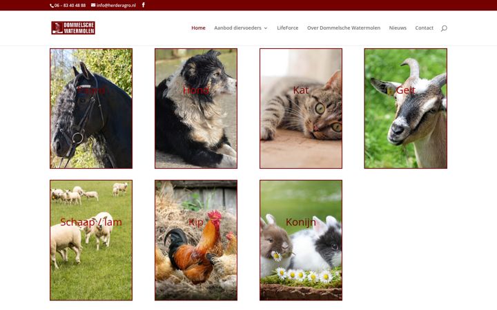 Screenshot stránky dommelschewatermolenfriesland.nl